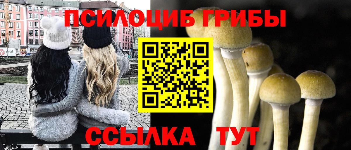 Галлюциногенные грибы Cubensis  Вход с VPN  Арзамас 
