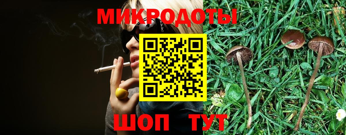 Псилоцибиновые грибы Cubensis Арзамас