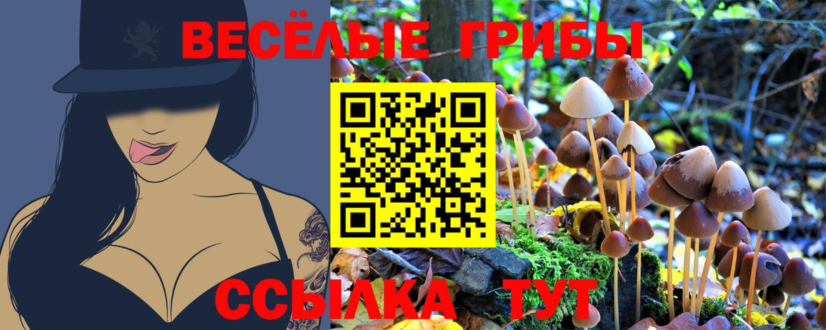 Арзамас  APVP СОЛЬ кристаллы  АМФЕТАМИН кристаллы  Мефедрон  Экстази  ГАШИШ  Марихуана  Меф МЯУ МЯУ   Вход с VPN  КОКАИН 